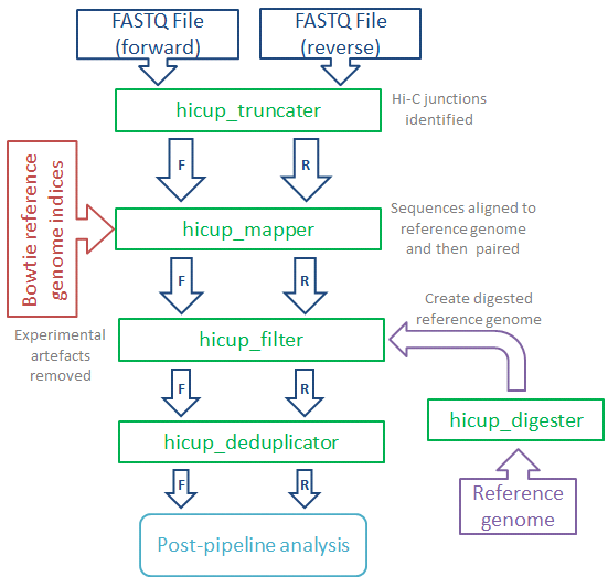 Babraham Bioinformatics - HiCUP Hi-C Analysis Pipeline