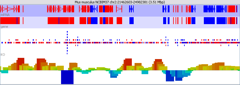 The Chromosome View