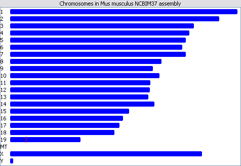 The Genome View